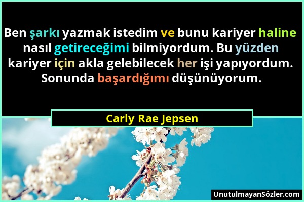 Carly Rae Jepsen - Ben şarkı yazmak istedim ve bunu kariyer haline nasıl getireceğimi bilmiyordum. Bu yüzden kariyer için akla gelebilecek her işi yap...