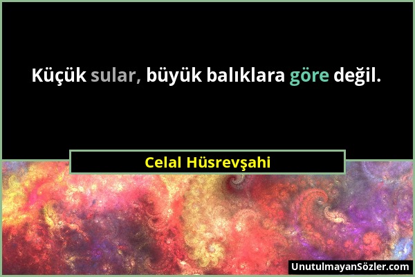 Celal Hüsrevşahi - Küçük sular, büyük balıklara göre değil....