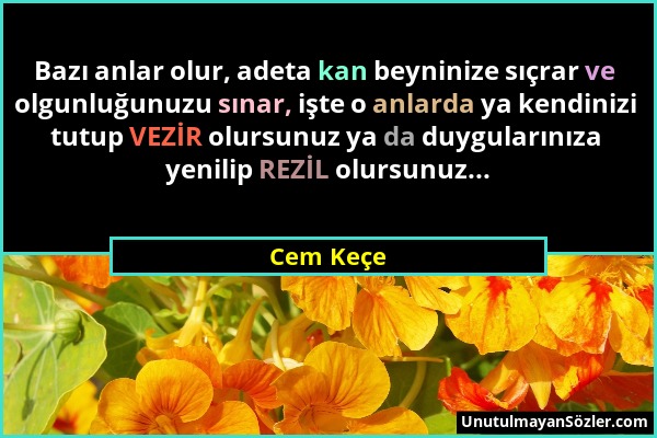 Cem Keçe - Bazı anlar olur, adeta kan beyninize sıçrar ve olgunluğunuzu sınar, işte o anlarda ya kendinizi tutup VEZİR olursunuz ya da duygularınıza y...