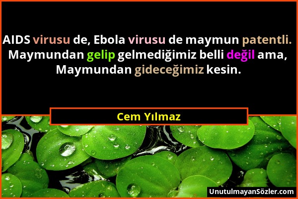 Cem Yılmaz - AIDS virusu de, Ebola virusu de maymun patentli. Maymundan gelip gelmediğimiz belli değil ama, Maymundan gideceğimiz kesin....