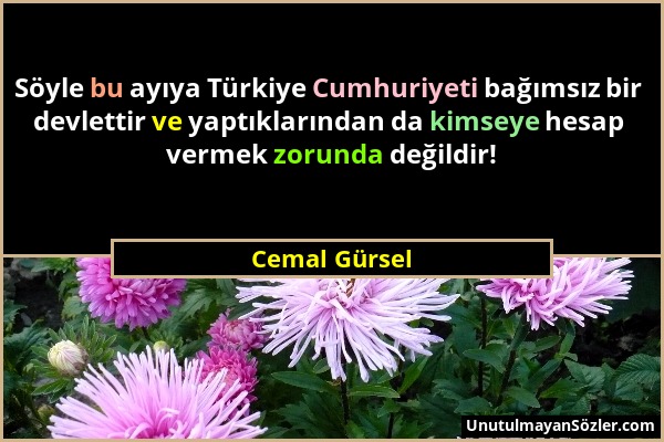 Cemal Gürsel - Söyle bu ayıya Türkiye Cumhuriyeti bağımsız bir devlettir ve yaptıklarından da kimseye hesap vermek zorunda değildir!...
