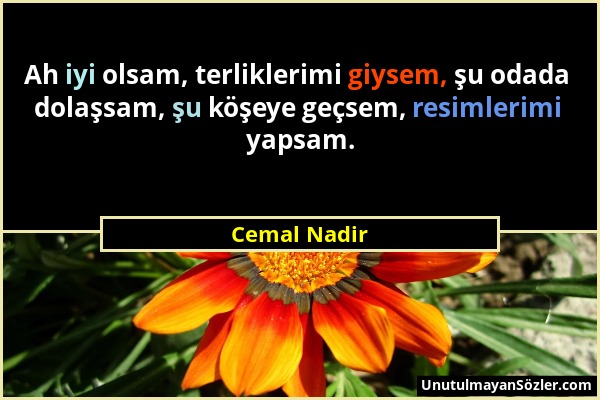 Cemal Nadir - Ah iyi olsam, terliklerimi giysem, şu odada dolaşsam, şu köşeye geçsem, resimlerimi yapsam....