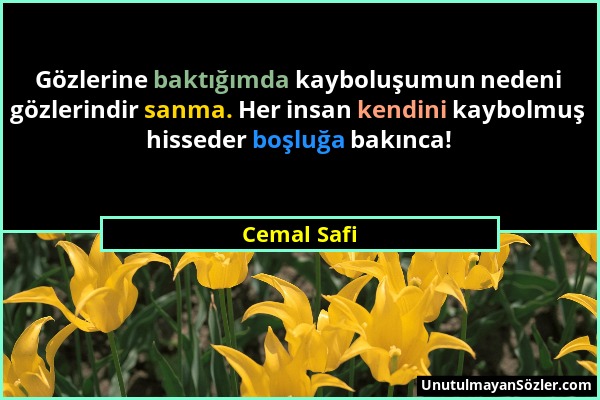 Cemal Safi - Gözlerine baktığımda kayboluşumun nedeni gözlerindir sanma. Her insan kendini kaybolmuş hisseder boşluğa bakınca!...