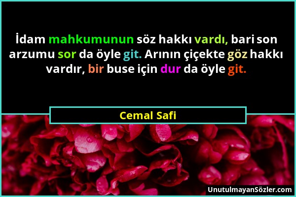 Cemal Safi - İdam mahkumunun söz hakkı vardı, bari son arzumu sor da öyle git. Arının çiçekte göz hakkı vardır, bir buse için dur da öyle git....