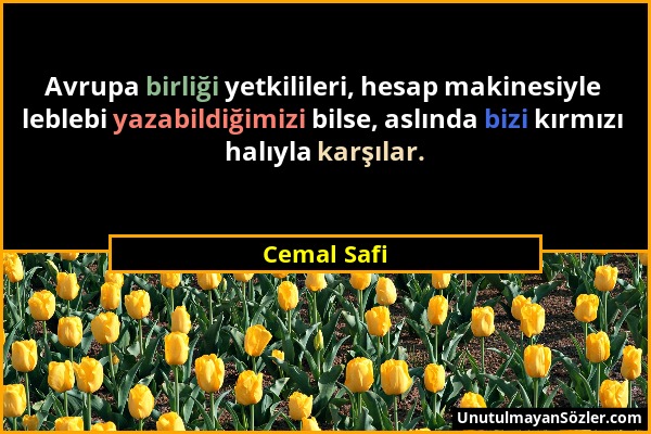 Cemal Safi - Avrupa birliği yetkilileri, hesap makinesiyle leblebi yazabildiğimizi bilse, aslında bizi kırmızı halıyla karşılar....