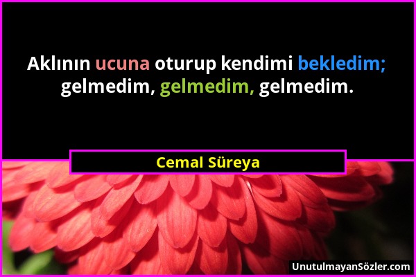 Cemal Süreya - Aklının ucuna oturup kendimi bekledim; gelmedim, gelmedim, gelmedim....