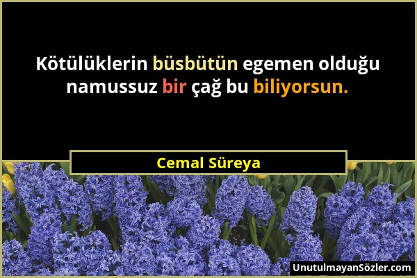 Cemal Süreya - Kötülüklerin büsbütün egemen olduğu namussuz bir çağ bu biliyorsun....