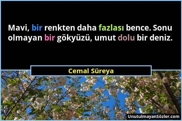 Cemal Süreya - Mavi, bir renkten daha fazlası bence. Sonu olmayan bir gökyüzü, umut dolu bir deniz....