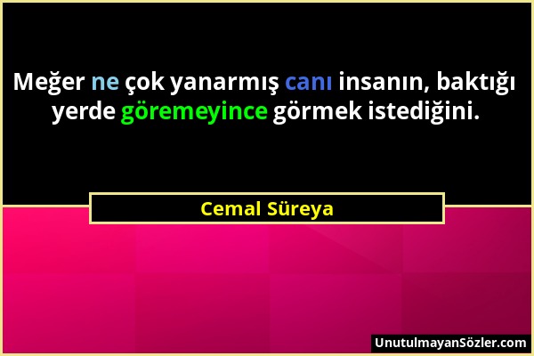 Cemal Süreya - Meğer ne çok yanarmış canı insanın, baktığı yerde göremeyince görmek istediğini....