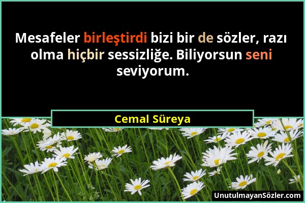 Cemal Süreya - Mesafeler birleştirdi bizi bir de sözler, razı olma hiçbir sessizliğe. Biliyorsun seni seviyorum....