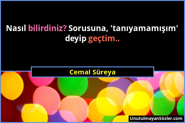 Cemal Süreya - Nasıl bilirdiniz? Sorusuna, 'tanıyamamışım' deyip geçtim.....