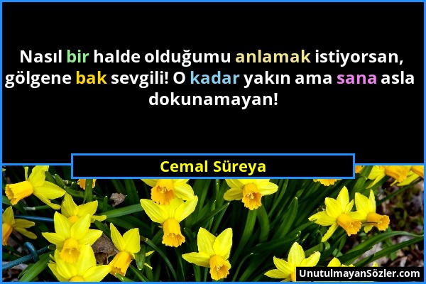 Cemal Süreya - Nasıl bir halde olduğumu anlamak istiyorsan, gölgene bak sevgili! O kadar yakın ama sana asla dokunamayan!...