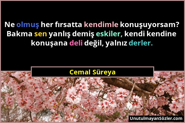 Cemal Süreya - Ne olmuş her fırsatta kendimle konuşuyorsam? Bakma sen yanlış demiş eskiler, kendi kendine konuşana deli değil, yalnız derler....