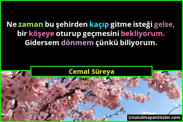 Cemal Süreya - Ne zaman bu şehirden kaçıp gitme isteği gelse, bir köşeye oturup geçmesini bekliyorum. Gidersem dönmem çünkü biliyorum....