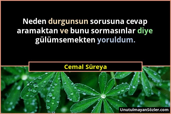 Cemal Süreya - Neden durgunsun sorusuna cevap aramaktan ve bunu sormasınlar diye gülümsemekten yoruldum....