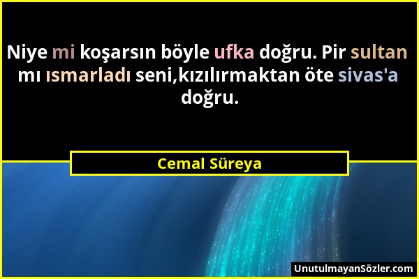 Cemal Süreya - Niye mi koşarsın böyle ufka doğru. Pir sultan mı ısmarladı seni,kızılırmaktan öte sivas'a doğru....