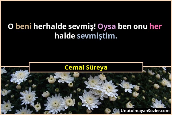 Cemal Süreya - O beni herhalde sevmiş! Oysa ben onu her halde sevmiştim....