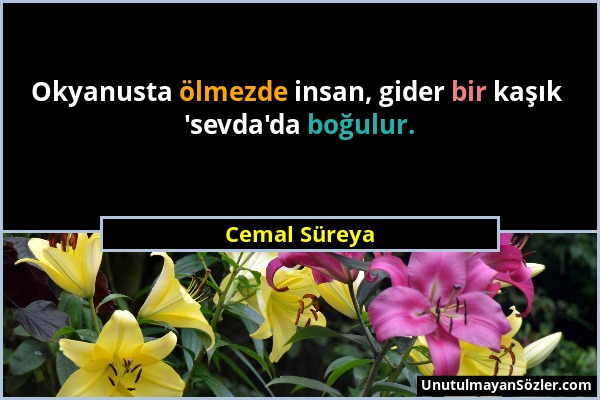 Cemal Süreya - Okyanusta ölmezde insan, gider bir kaşık 'sevda'da boğulur....