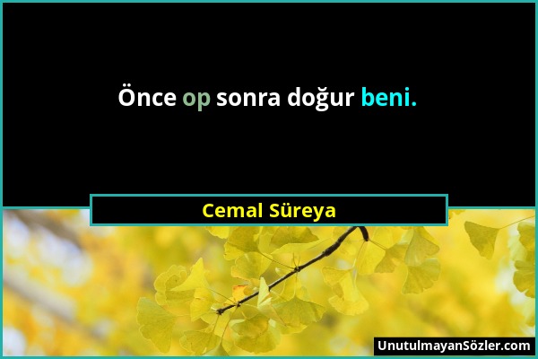 Cemal Süreya - Önce op sonra doğur beni....