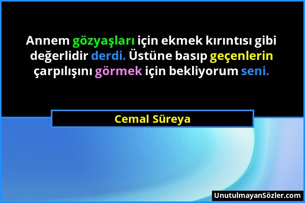 Cemal Süreya - Annem gözyaşları için ekmek kırıntısı gibi değerlidir derdi. Üstüne basıp geçenlerin çarpılışını görmek için bekliyorum seni....