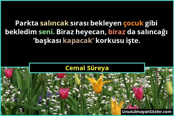 Cemal Süreya - Parkta salıncak sırası bekleyen çocuk gibi bekledim seni. Biraz heyecan, biraz da salıncağı 'başkası kapacak' korkusu işte....