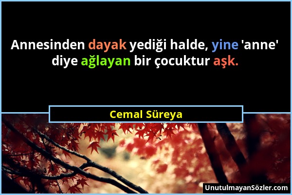 Cemal Süreya - Annesinden dayak yediği halde, yine 'anne' diye ağlayan bir çocuktur aşk....