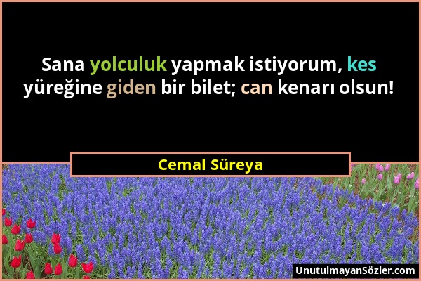 Cemal Süreya - Sana yolculuk yapmak istiyorum, kes yüreğine giden bir bilet; can kenarı olsun!...