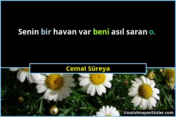 Cemal Süreya - Senin bir havan var beni asıl saran o....