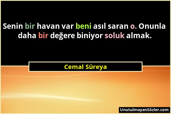 Cemal Süreya - Senin bir havan var beni asıl saran o. Onunla daha bir değere biniyor soluk almak....