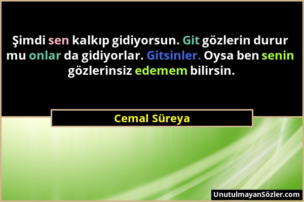 Cemal Süreya - Şimdi sen kalkıp gidiyorsun. Git gözlerin durur mu onlar da gidiyorlar. Gitsinler. Oysa ben senin gözlerinsiz edemem bilirsin....