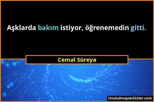 Cemal Süreya - Aşklarda bakım istiyor, öğrenemedin gitti....