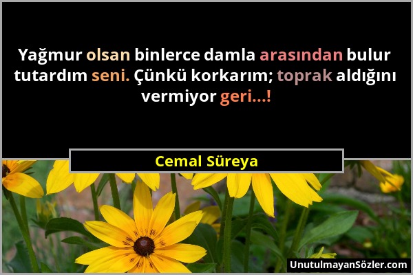 Cemal Süreya - Yağmur olsan binlerce damla arasından bulur tutardım seni. Çünkü korkarım; toprak aldığını vermiyor geri...!...