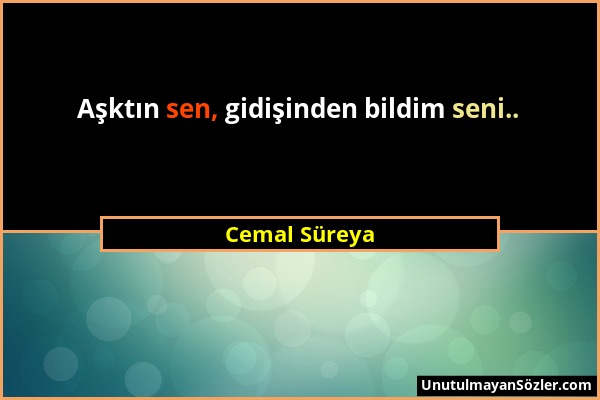 Cemal Süreya - Aşktın sen, gidişinden bildim seni.....