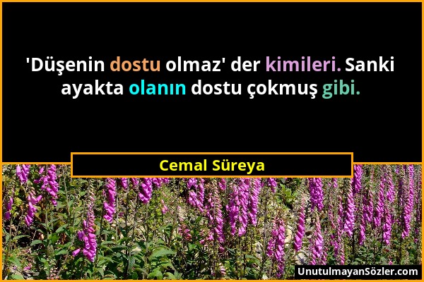 Cemal Süreya - 'Düşenin dostu olmaz' der kimileri. Sanki ayakta olanın dostu çokmuş gibi....