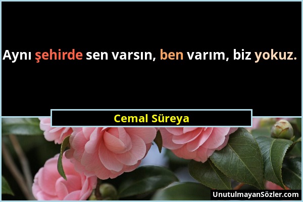 Cemal Süreya - Aynı şehirde sen varsın, ben varım, biz yokuz....