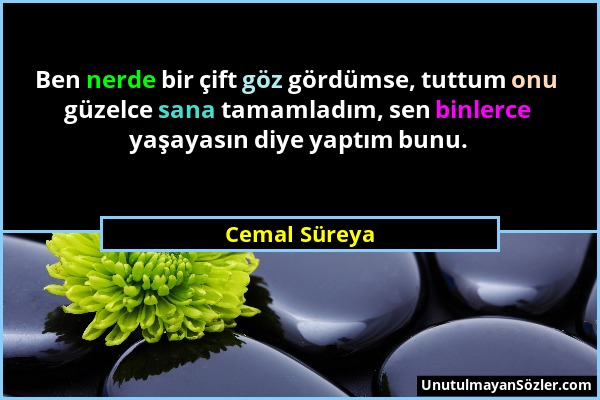 Cemal Süreya - Ben nerde bir çift göz gördümse, tuttum onu güzelce sana tamamladım, sen binlerce yaşayasın diye yaptım bunu....