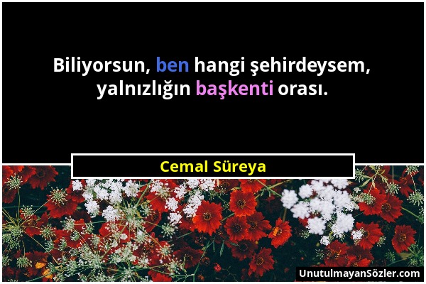 Cemal Süreya - Biliyorsun, ben hangi şehirdeysem, yalnızlığın başkenti orası....