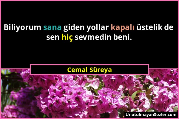 Cemal Süreya - Biliyorum sana giden yollar kapalı üstelik de sen hiç sevmedin beni....