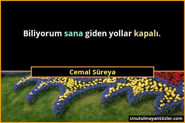 Cemal Süreya - Biliyorum sana giden yollar kapalı....