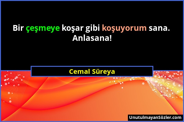 Cemal Süreya - Bir çeşmeye koşar gibi koşuyorum sana. Anlasana!...