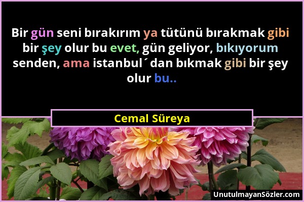 Cemal Süreya - Bir gün seni bırakırım ya tütünü bırakmak gibi bir şey olur bu evet, gün geliyor, bıkıyorum senden, ama istanbul´dan bıkmak gibi bir şe...