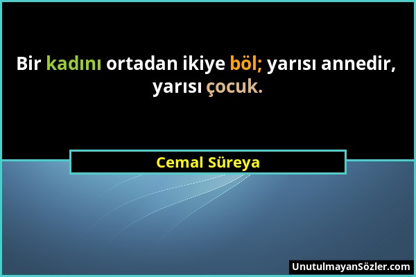 Cemal Süreya - Bir kadını ortadan ikiye böl; yarısı annedir, yarısı çocuk....