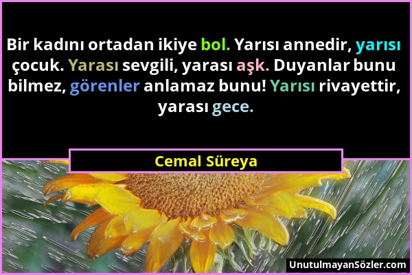 Cemal Süreya - Bir kadını ortadan ikiye bol. Yarısı annedir, yarısı çocuk. Yarası sevgili, yarası aşk. Duyanlar bunu bilmez, görenler anlamaz bunu! Ya...