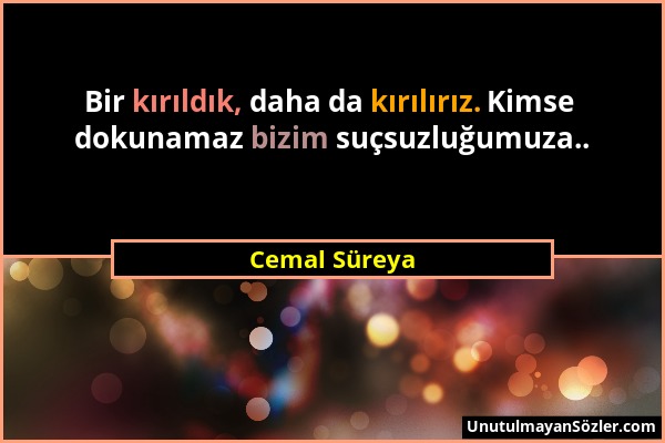 Cemal Süreya - Bir kırıldık, daha da kırılırız. Kimse dokunamaz bizim suçsuzluğumuza.....