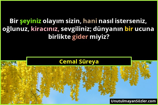 Cemal Süreya - Bir şeyiniz olayım sizin, hani nasıl isterseniz, oğlunuz, kiracınız, sevgiliniz; dünyanın bir ucuna birlikte gider miyiz?...