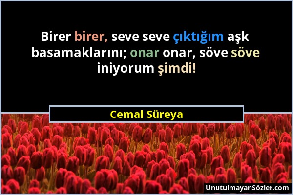 Cemal Süreya - Birer birer, seve seve çıktığım aşk basamaklarını; onar onar, söve söve iniyorum şimdi!...