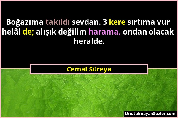 Cemal Süreya - Boğazıma takıldı sevdan. 3 kere sırtıma vur helâl de; alışık değilim harama, ondan olacak heralde....