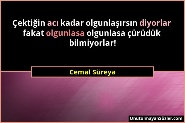 Cemal Süreya - Çektiğin acı kadar olgunlaşırsın diyorlar fakat olgunlasa olgunlasa çürüdük bilmiyorlar!...