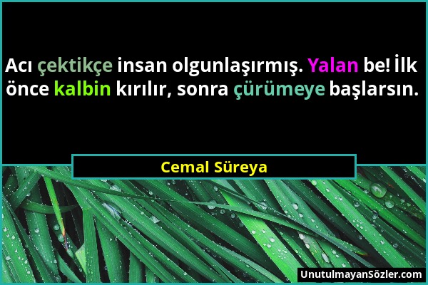 Cemal Süreya - Acı çektikçe insan olgunlaşırmış. Yalan be! İlk önce kalbin kırılır, sonra çürümeye başlarsın....