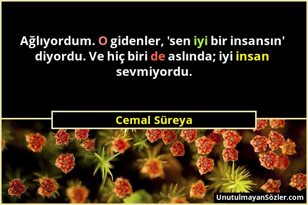 Cemal Süreya - Ağlıyordum. O gidenler, 'sen iyi bir insansın' diyordu. Ve hiç biri de aslında; iyi insan sevmiyordu....